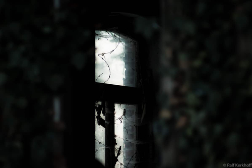 Light