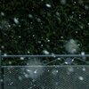 Schneetreiben