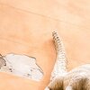 Kroko
