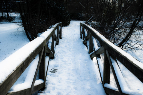 Crossing