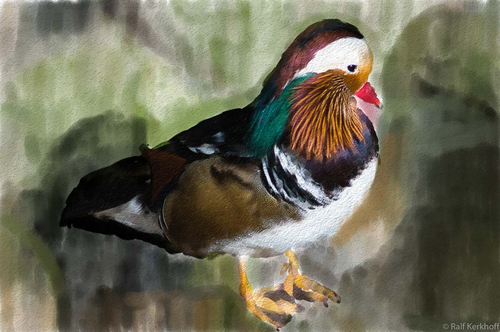 Ente