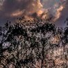 Abend
