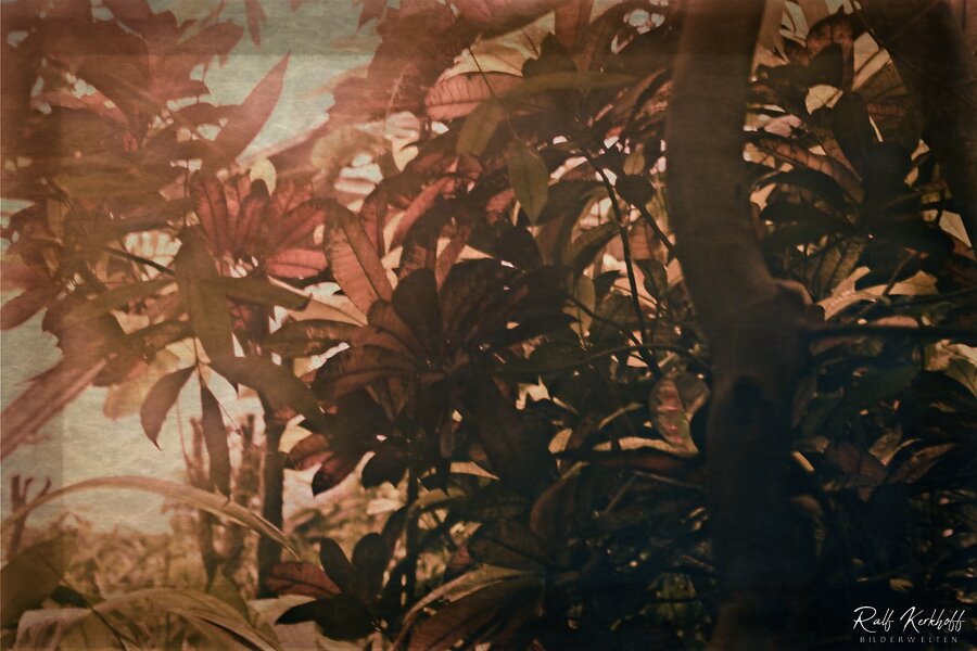 Botany