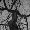 Empor
