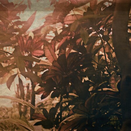 Botany