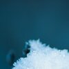 Schneehaube