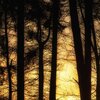 Evening Glow
