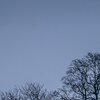 TwoTrees