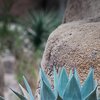 Desert