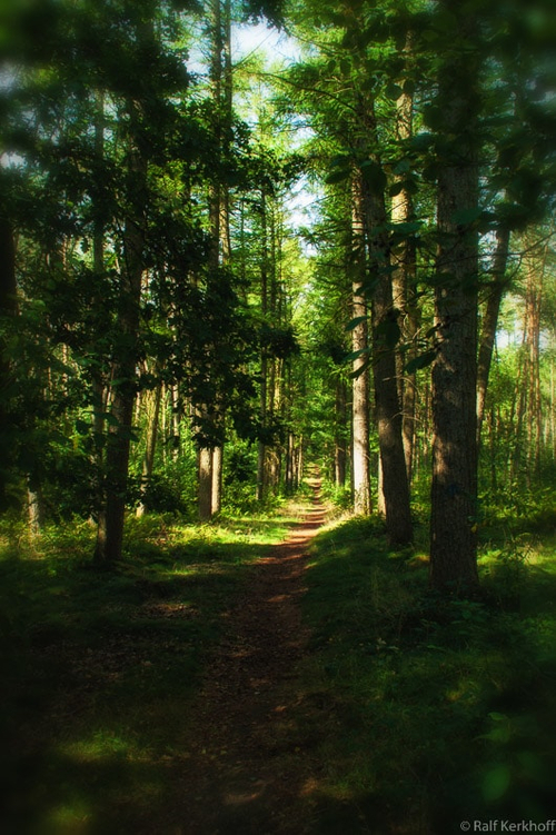 Path