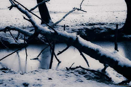 Freeze