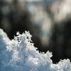 Flakes
