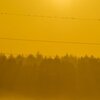 Smoking Fields