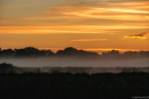 Morning Mist