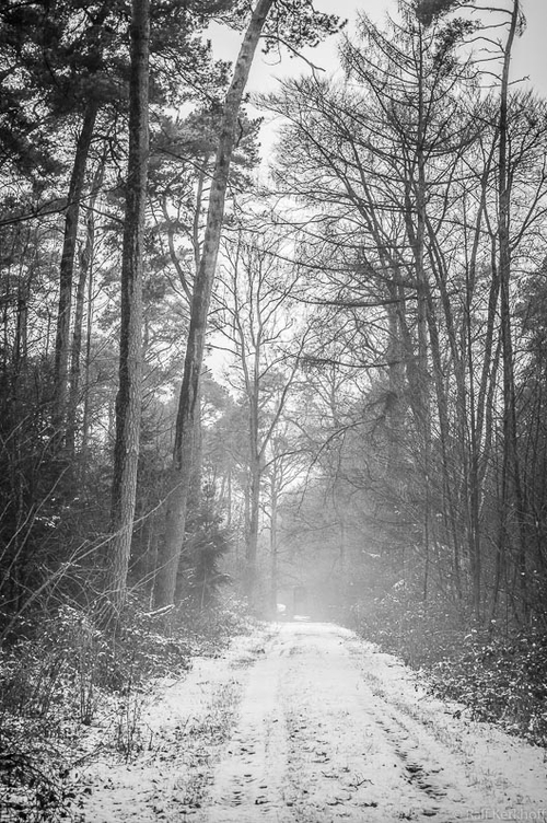 Winternebel