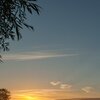 Early Sun