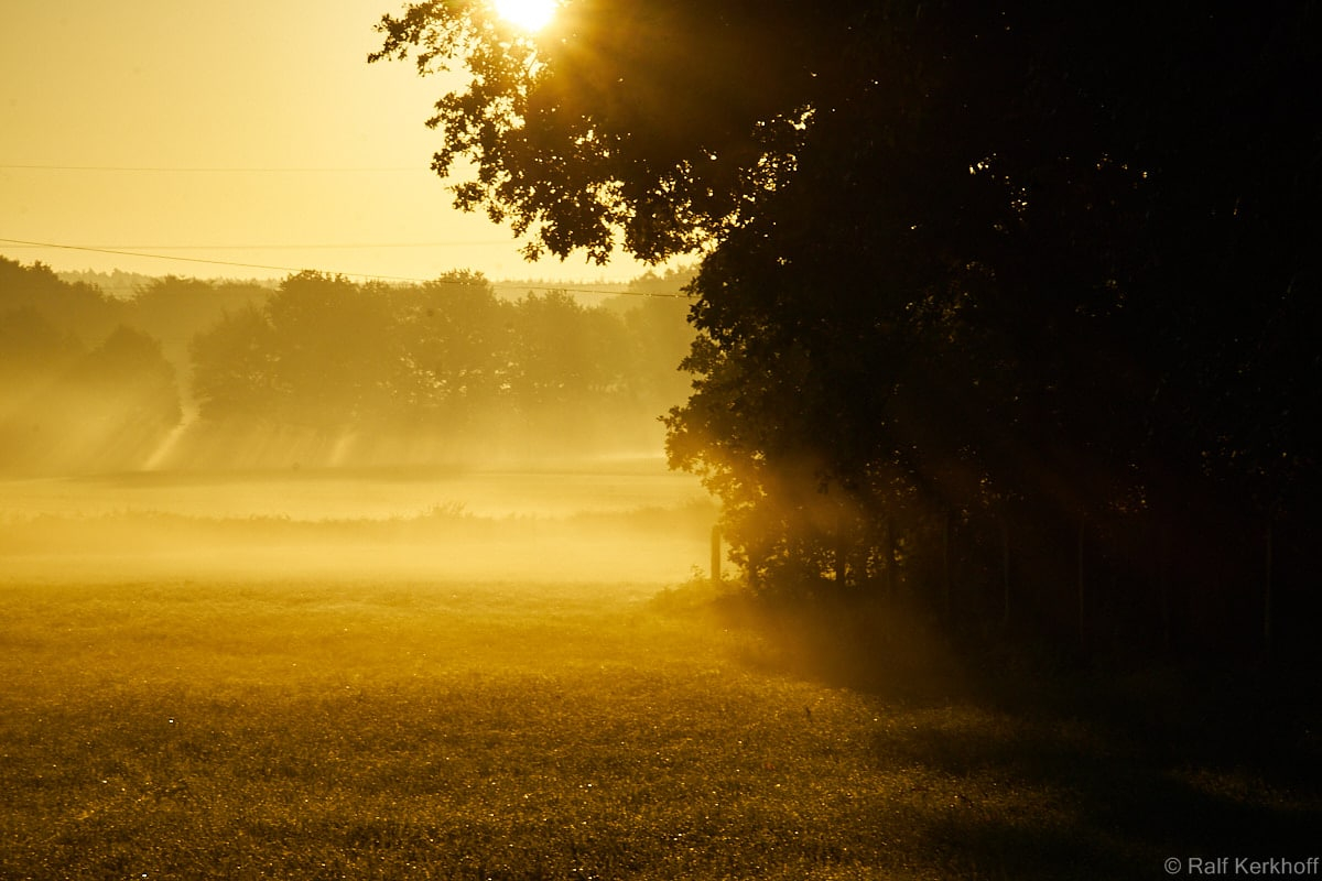 Sunbeams
