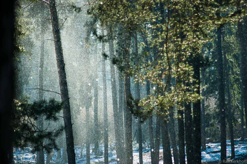 Flakes