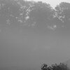 Magic Mist