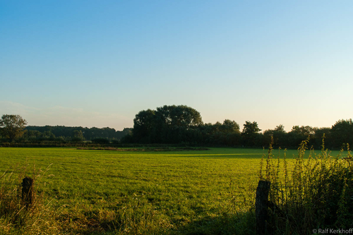 Pasture