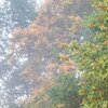 Shallow Autumn
