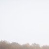 Herbstnebel