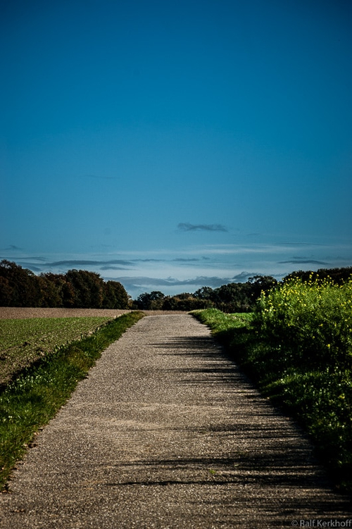 Pathway