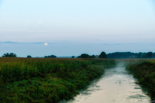Morning Moon