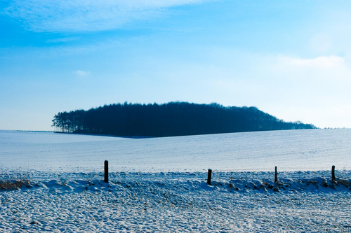 Weitblick
