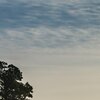 Morgendunst