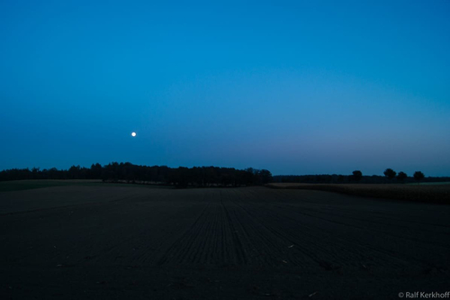 Moonshine Fields