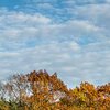 Herbstpracht