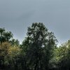 Twighlight