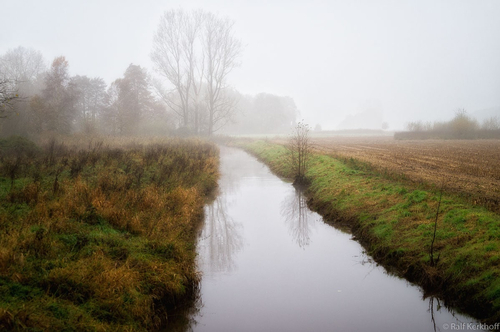 Mist