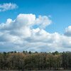 Fluffy Clouds