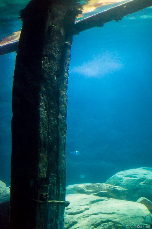 The Deep