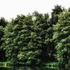 Mystic Lake