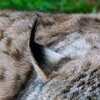 Sleep