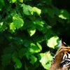 Sit