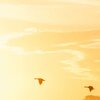 Into The Sun