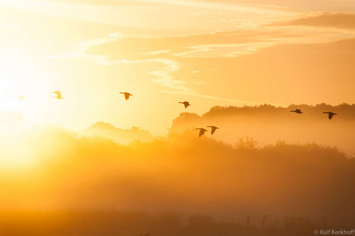 Into The Sun