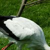 Tierpark Frankenhof