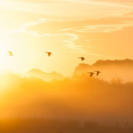 Into The Sun