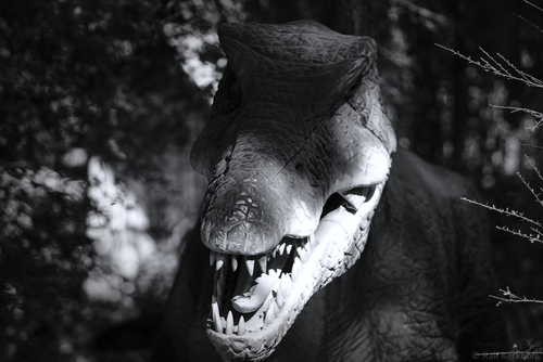 Dino