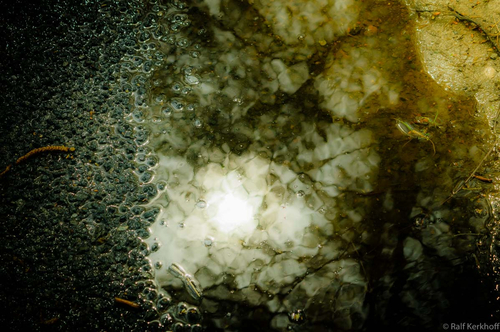 Wet Stones