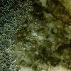 Wet Stones